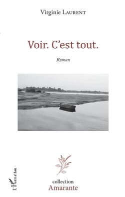 Voir c'est tout
