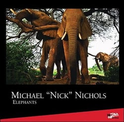 Elephants