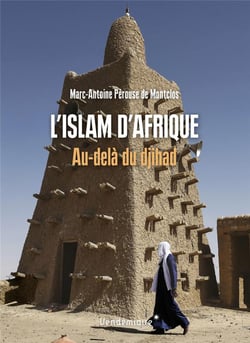 L'islam d'Afrique : au delà du djihad