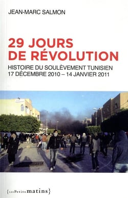 29 jours de révolution - histoire du soulèvement tunisien : 17 décembre 2010-14 janvier 2011