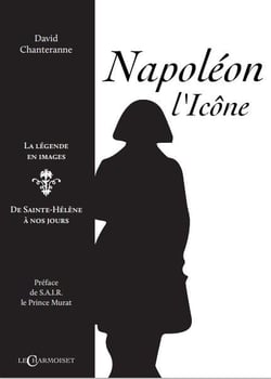 Napoléon l'icône : la légende en images