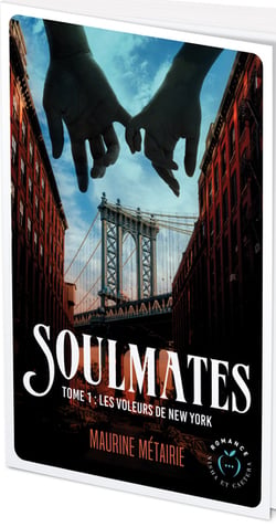Soulmates tome 1