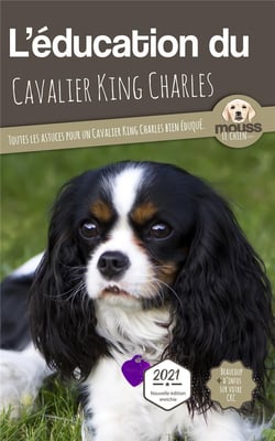 L'éducation du Cavalier King Charles : toutes les astuces pour un Cavalier King Charles bien éduqué