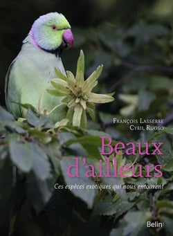 Beaux d'ailleurs