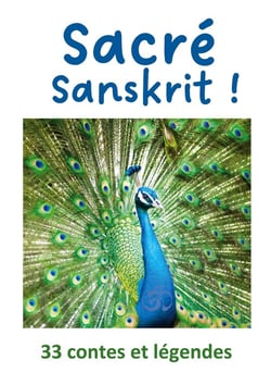 Sacré Sanskrit ! : 33 contes et légendes