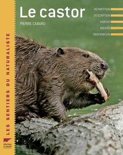 Le castor