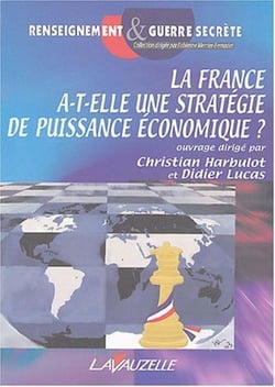 LA FRANCE A  T ELLE UNE STRATEGIE DE PUISSANCE ECONOMIQUE