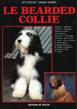 Bearded collie