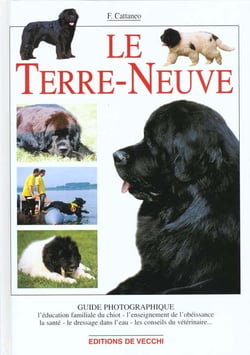 Terre-neuve guide photo