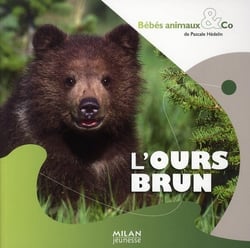 L'ours