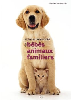 La vie des bébés animaux familiers