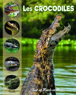 Tout un monde en photos : les crocodiles