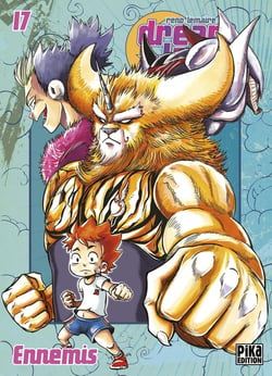 Dreamland Tome 17 : ennemis