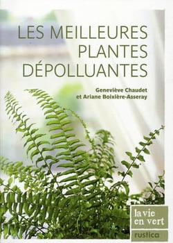 Les meilleures plantes dépolluantes