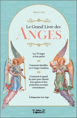 Le grand livre des anges - à chaque jour son ange