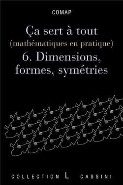 Ça sert à tout (mathématiques en pratique) Tome 6 - dimensions, formes et symétries