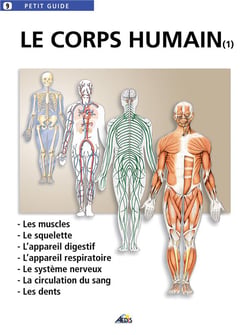 Le corps humain T1