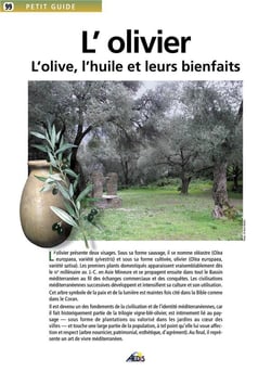 L'olivier