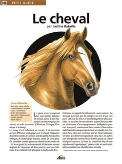 Le cheval