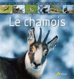 Chamois