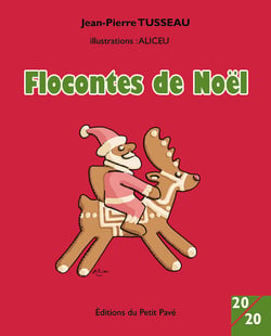 Flocontes de noël
