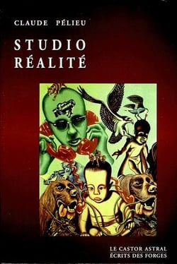 Studio réalité