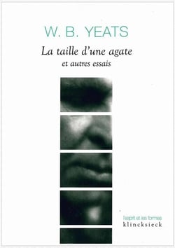 La Taille d'une agate et autres essais