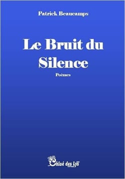 Le bruit du silence