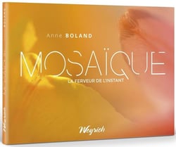 Mosaïque - la ferveur de l'instant