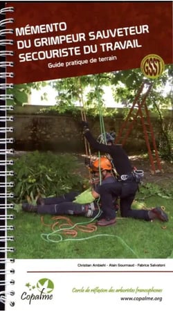 MEMENTO DU GRIMPEUR SAUVETEUR SECOURISTE DU TRAVAIL : GUIDE PRATIQUE DU TERRAIN