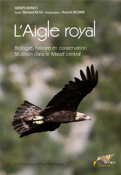 L'aigle royal - biologie, histoire et conservation