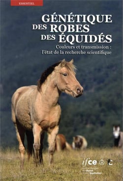Génétique des robes des équidés