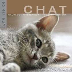 Une vie de chat