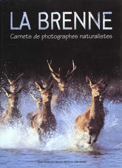 Brenne
