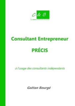 Consultant entrepreneur - précis à l'usage des consultants indépendants