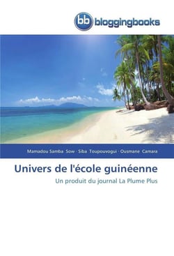 Univers de l'ecole guineenne