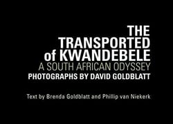 David goldblatt the transported of kwandebele