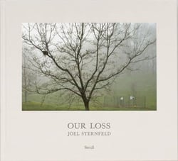 Joel sternfeld our loss