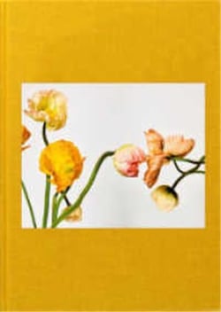 Michel Comte : garden of beauty - combining worlds with flowers