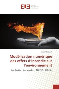 Modélisation numérique des effets d'incendie sur l'environnement : Application des logiciels : FLUENT, ALOHA.