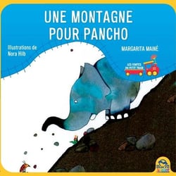 Une montagne pour pancho