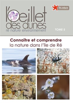 CONNAITRE ET COMPRENDRE LA NATURE DANS L'ILE DE RE (GESTE) -OEILLET DES DUNES T5