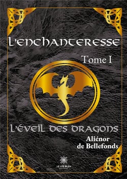 L'enchanteresse Tome 1 : l'éveil des dragons