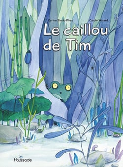 LE CAILLOU DE TIM