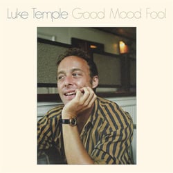 Good mood fool - Vinyle