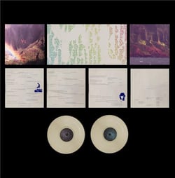 THE YEAR OF HIBERNATION 10TH ANNIVERSARY EDITION