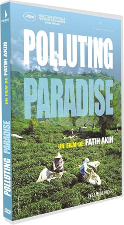Polluting Paradise