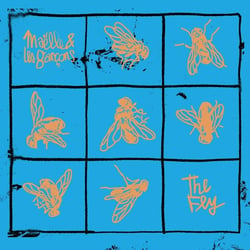 The Fly