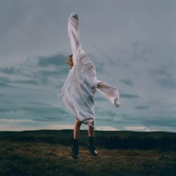 Birding - édition colorée