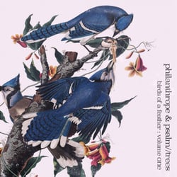 Birds Of A Feather Vol. 1